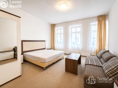 Аренда квартиры 1+KK Karlovy Vary, Divadelní č. 3