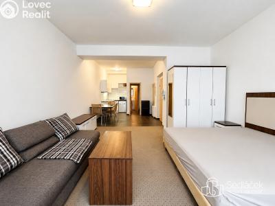 Аренда квартиры 1+KK Karlovy Vary, Divadelní č. 4