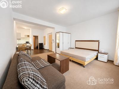 Аренда квартиры 1+KK Karlovy Vary, Divadelní č. 5