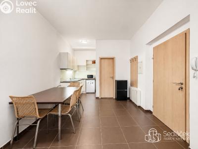 Аренда квартиры 1+KK Karlovy Vary, Divadelní č. 6
