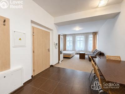 Аренда квартиры 1+KK Karlovy Vary, Divadelní č. 7
