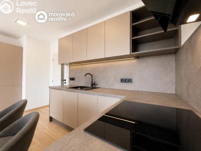 Продаж квартири 1+KK Brno, Sevastopolská č. 1