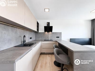 Продаж квартири 1+KK Brno, Sevastopolská č. 10