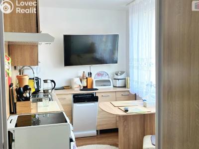 Продаж квартири 3+KK Horní Slavkov, U Lesoparku č. 1