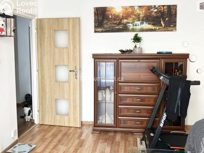 Продаж квартири 3+KK Horní Slavkov, U Lesoparku č. 6