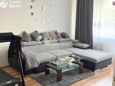 Продаж квартири 3+KK Horní Slavkov, U Lesoparku č. 4