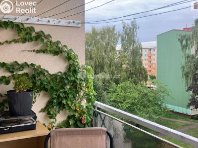 Продаж квартири 3+KK Horní Slavkov, U Lesoparku č. 25
