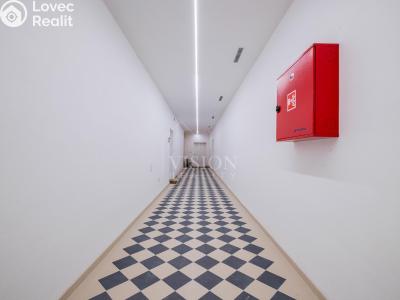 Продаж квартири 2+1 Chotěšov, Úzká č. 25