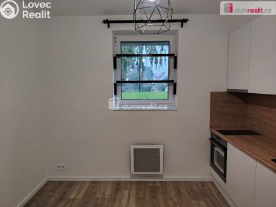 Аренда квартиры 1+KK Děčín, Zelená č. 3