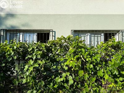 Аренда квартиры 2+1 Praha, U silnice č. 10