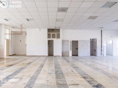 Prodej obchodního prostoru Opava č. 14