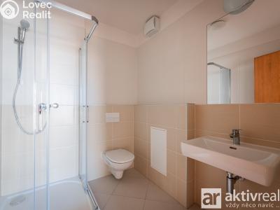 Pronájem bytu 4+KK Praha, Stočesova č. 13