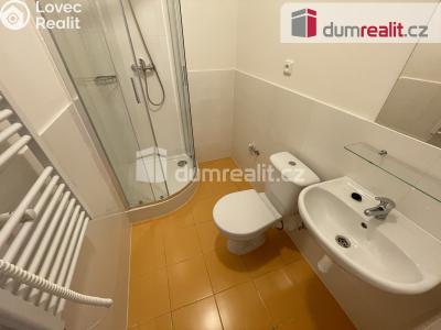 Аренда квартиры 1+KK Praha 5, Na Valentince č. 8