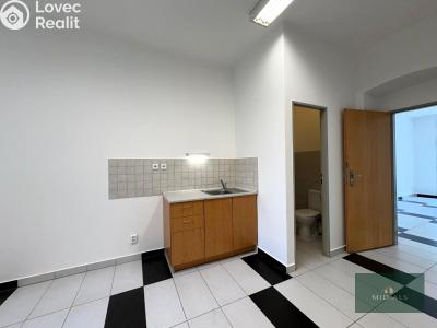 Rent commercial space Plzeň, Koterovská č. 6