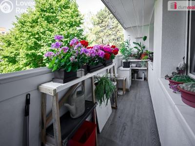 Продаж квартири 3+1 Neratovice, Na Výsluní č. 19