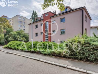 Продаж квартири 1+KK Praha, Kudrnova č. 1