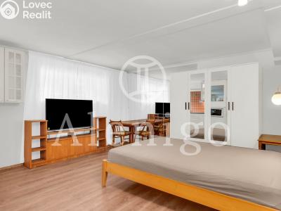 Продаж квартири 1+KK Praha, Kudrnova č. 2
