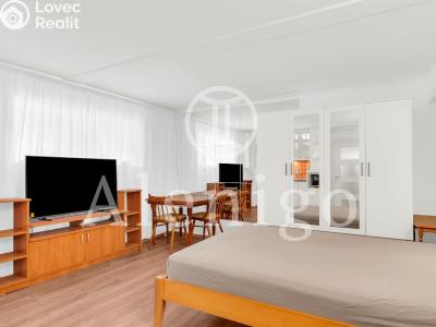 Продаж квартири 1+KK Praha, Kudrnova č. 6
