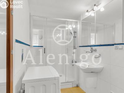 Продаж квартири 1+KK Praha, Kudrnova č. 8