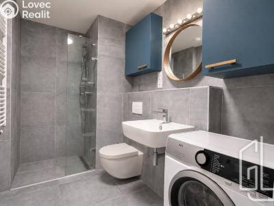 Продаж квартири 1+KK Praha, Mezi vodami č. 9