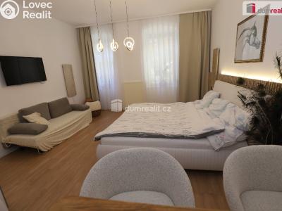 Аренда квартиры 1+1 Karlovy Vary, Kolmá č. 3