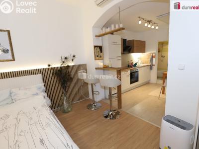 Аренда квартиры 1+1 Karlovy Vary, Kolmá č. 4