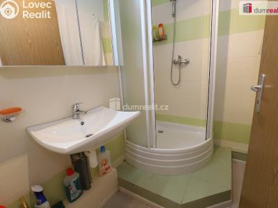 Аренда квартиры 1+1 Karlovy Vary, Kolmá č. 7