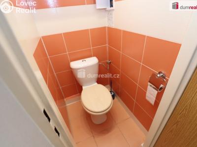 Аренда квартиры 1+1 Karlovy Vary, Kolmá č. 8