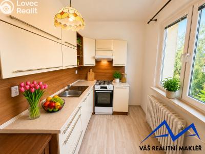 Аренда квартиры 2+1 Karviná, Ciolkovského č. 1