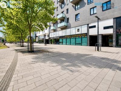 Аренда квартиры 3+KK Ostrava, Jantarová č. 19