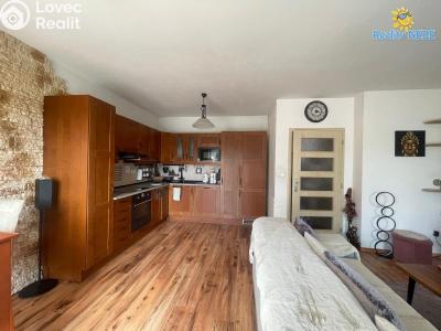 Rent family house Milovice, Školská č. 4