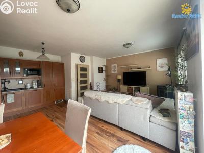 Rent family house Milovice, Školská č. 5