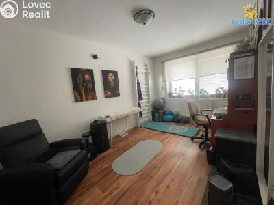 Rent family house Milovice, Školská č. 14