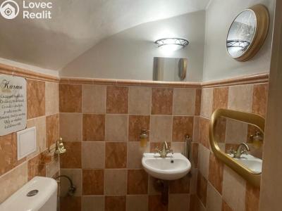 Rent family house Milovice, Školská č. 16