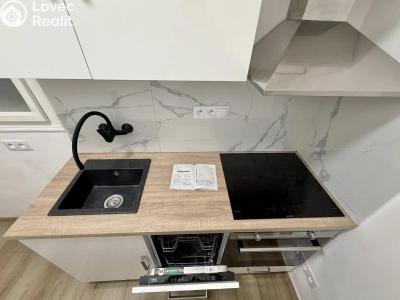 Аренда квартиры 1+1 Praha, 5. května č. 2