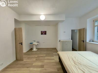 Аренда квартиры 1+1 Praha, 5. května č. 4
