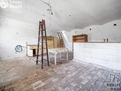 Prodej rodinného domu Žiželice č. 19