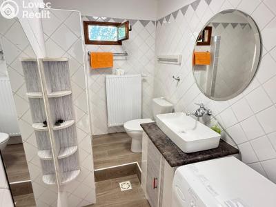 Rent family house Plav č. 14