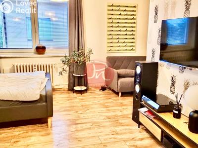 Pronájem bytu 1+1 Ostrava, Garážní č. 7