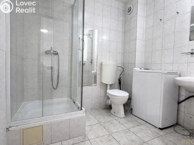Pronájem bytu 1+KK Hodonín, Národní třída č. 4