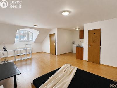 Pronájem bytu 1+KK Hodonín, Národní třída č. 6
