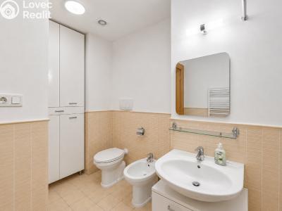 Pronájem bytu 2+KK Praha, Koubkova č. 23