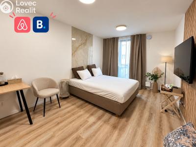 Pronájem bytu 1+KK Praha, Plzeňská č. 7