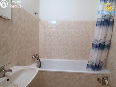 Rent apartment 1+KK Milovice, Průběžná č. 7