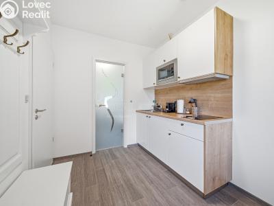Sale apartment 1+KK Horní Břečkov č. 6