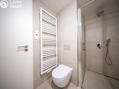 Sale apartment 4+KK Příbram č. 11