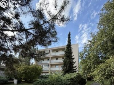 Аренда квартиры 1+KK Beroun, Karla Čapka č. 9