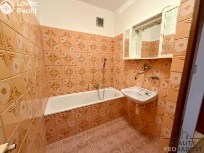 Pronájem rodinného domu Čejč č. 10