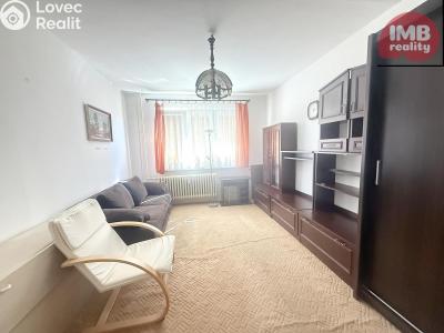 Prodej bytu 1+1 Nová Role, Svobodova č. 1