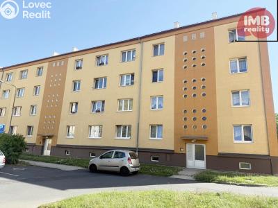 Prodej bytu 1+1 Nová Role, Svobodova č. 14